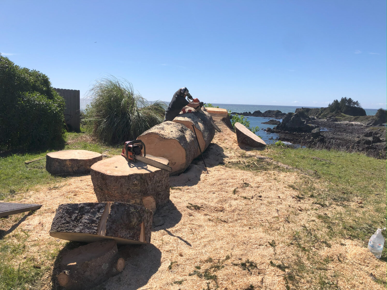 Person using a chainsaw to cut large tree logs near a coastal area, with wood debris scattered on the ground.