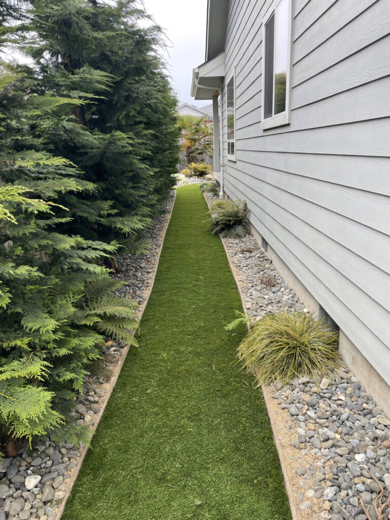 Narrow artificial grass path between a house with gray siding and tall green shrubs, bordered by rocks and plants.