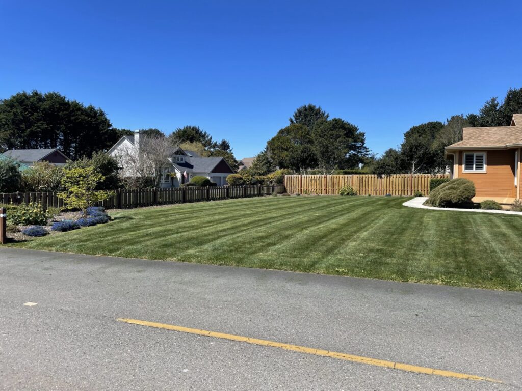 A well-manicured lawn with mowing lines, bordered by a wooden fence, houses, and trees under a clear blue sky.